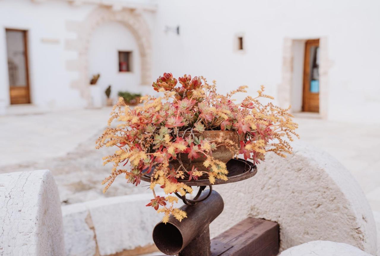 Masseria Casamassima Agriturismo Ostuni Exterior foto