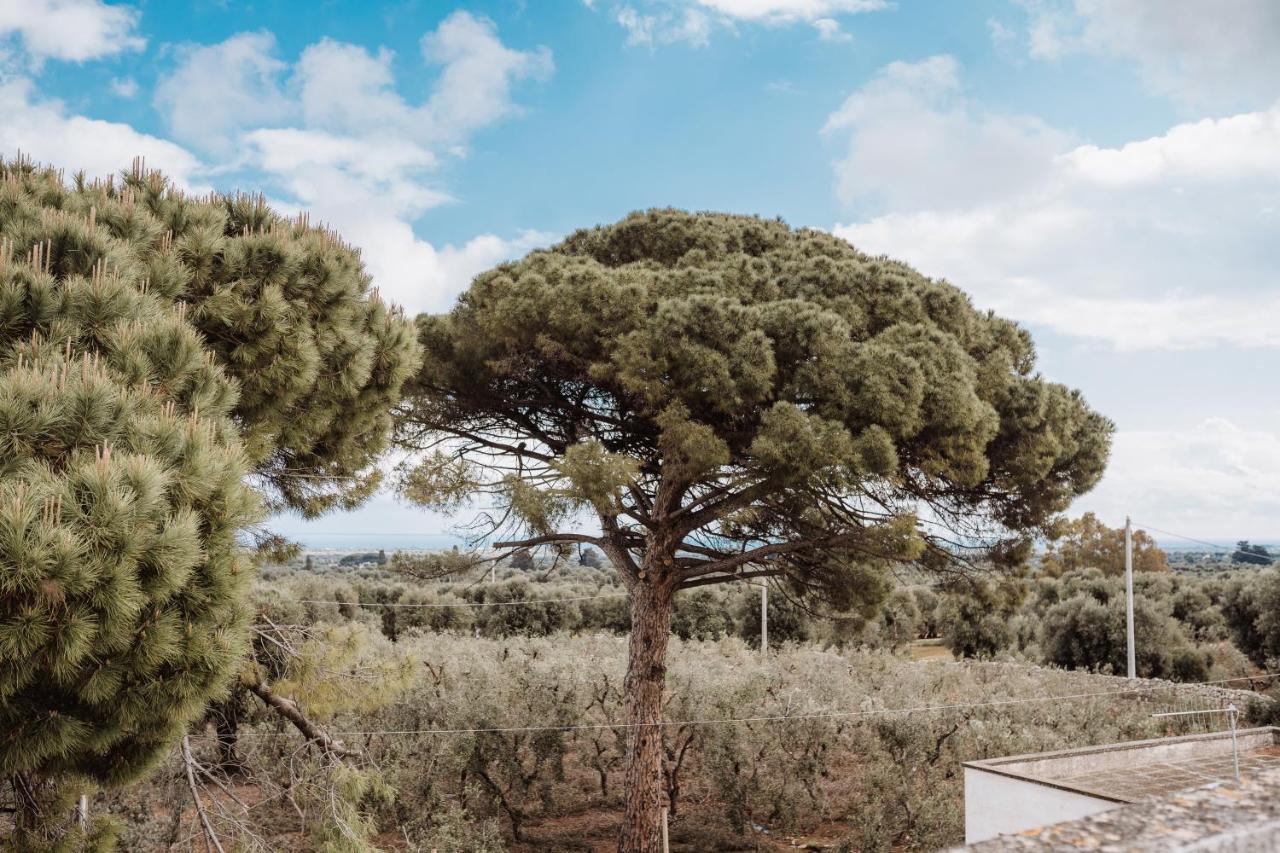 Masseria Casamassima agriturismo Ostuni Exterior foto