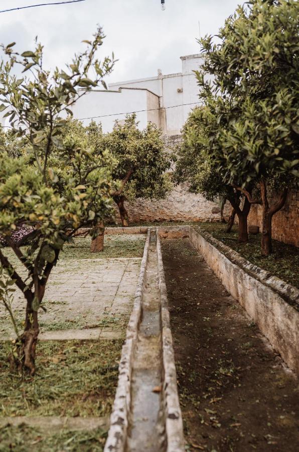 Masseria Casamassima agriturismo Ostuni Exterior foto
