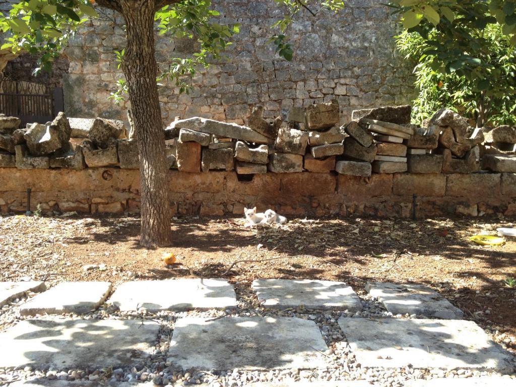 Masseria Casamassima agriturismo Ostuni Exterior foto